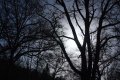 Contre jour